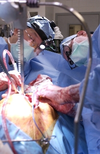 Search and destroy. Dr. Cameron (R) and Dr. Peng (L) opening the chest. The thick rind of tumor was immediately evident.