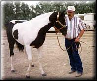 Don Thorp with his favorite horse Quincy's Rising Son on his 33 acre ranch in Idaho, 1998.